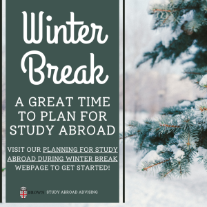 Winter Break Study Abroad Planning - wintery image